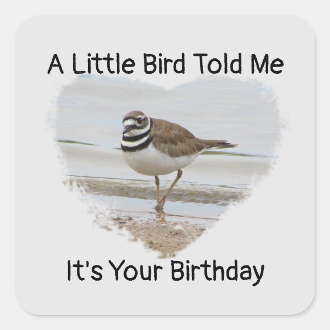 Birthday wünscht Little Bird Humors Umschlag Aufkl Quadratischer Aufkleber (Vorderseite)