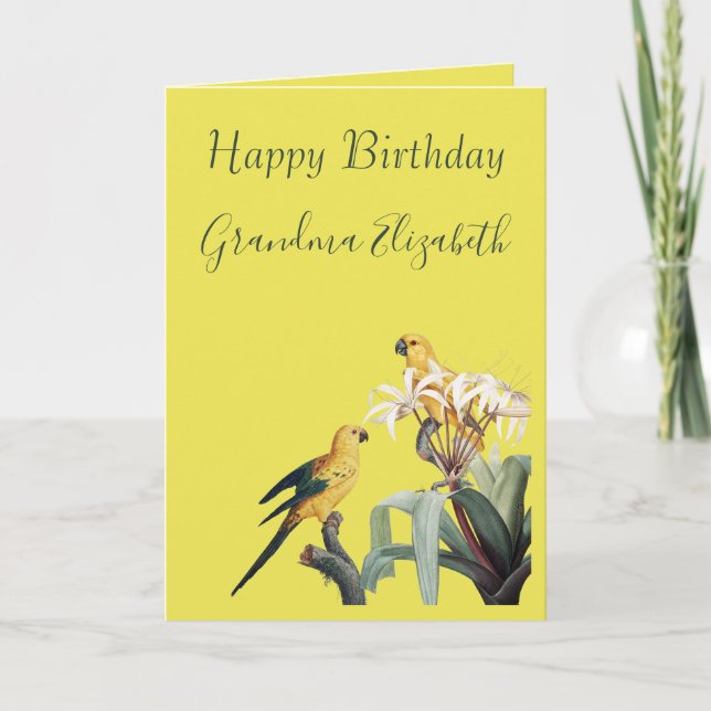 Birthday wünscht Oma Parrots Card Karte (Vorderseite)