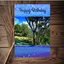 Birthday Zitat Trees Sky Blue Nature Fotografie