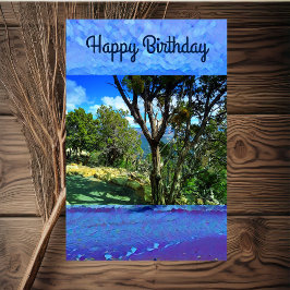 Birthday Zitat Trees Sky Blue Nature Fotografie