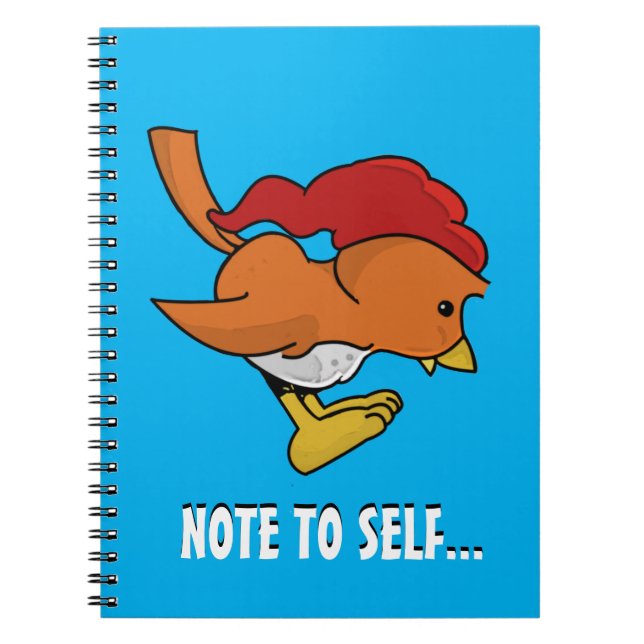 Birzy | Le Cahier de l'Engoulevent (Devant)