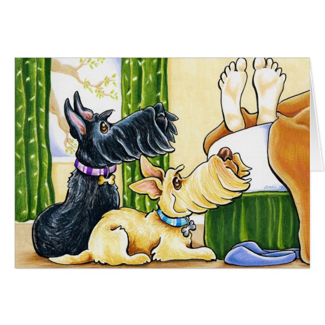 Bis (Vorderseite (Horizontal))