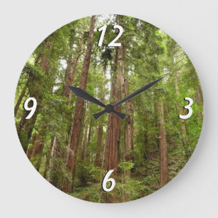 Bis Redwoods I im Muir Woods National Monument Große Wanduhr