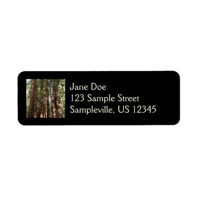 Bis Redwoods II im Muir Woods National Monument (Vorne)