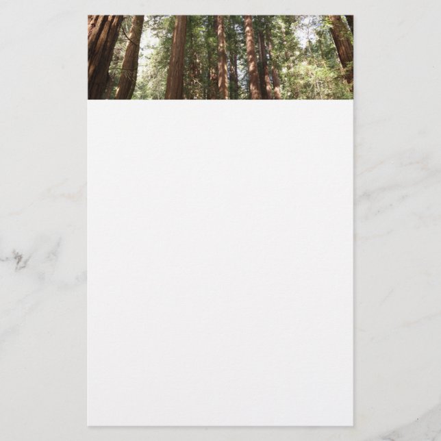Bis Redwoods II im Muir Woods National Monument Briefpapier (Vorderseite)