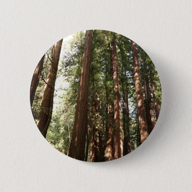 Bis Redwoods II im Muir Woods National Monument Button (Vorderseite)