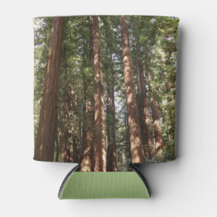 Bis Redwoods II im Muir Woods National Monument Dosenkühler