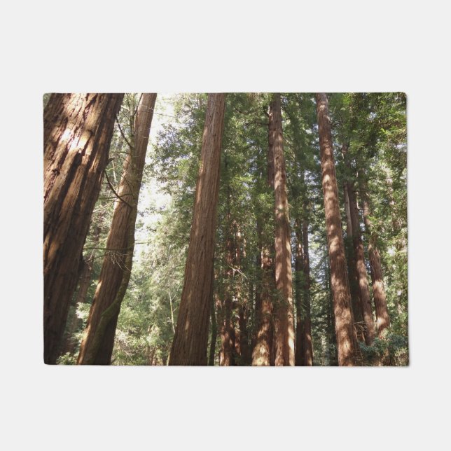 Bis Redwoods II im Muir Woods National Monument Fußmatte (Vorderseite)