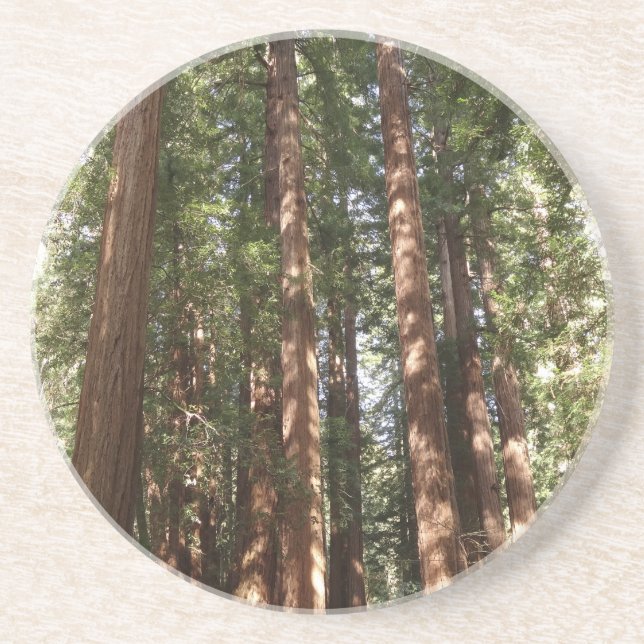 Bis Redwoods II im Muir Woods National Monument Getränkeuntersetzer (Vorne)