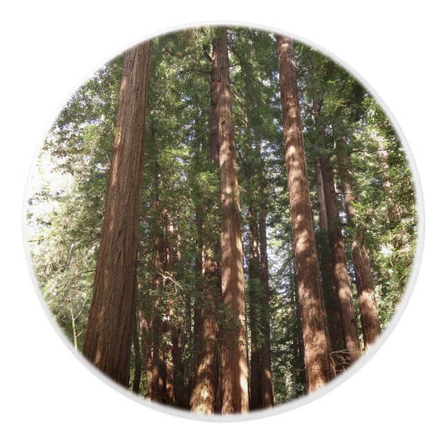 Bis Redwoods II im Muir Woods National Monument Keramikknauf (Vorderseite)