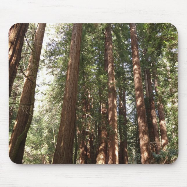 Bis Redwoods II im Muir Woods National Monument Mousepad (Vorne)