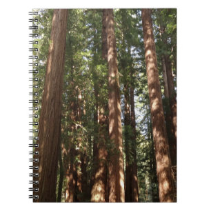 Bis Redwoods II im Muir Woods National Monument Notizblock
