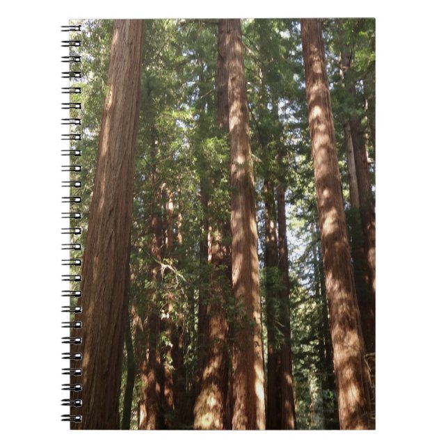 Bis Redwoods II im Muir Woods National Monument Notizblock (Vorderseite)