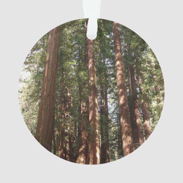 Bis Redwoods II im Muir Woods National Monument Ornament (Rückseite)