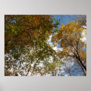 Bis zu den Herbstlauben II Herbstnatur Poster