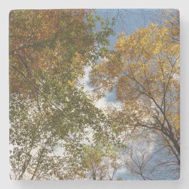 Bis zu den Herbstlauben II Herbstnatur Steinuntersetzer (Vorderseite)