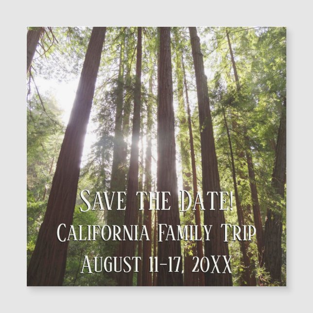 Bis zu Redwoods am Morgen Save the Date Magnetkarte (Vorderseite)