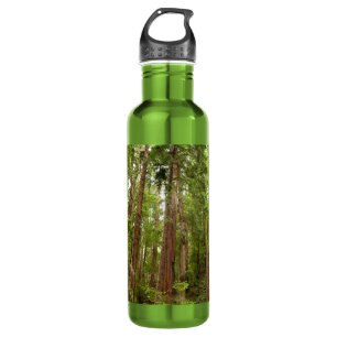 Bis zu Redwoods I Edelstahlflasche