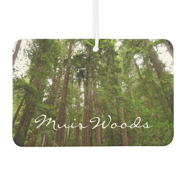 Bis zu Redwoods I im Muir Woods National Monument Autolufterfrischer (Vorderseite)