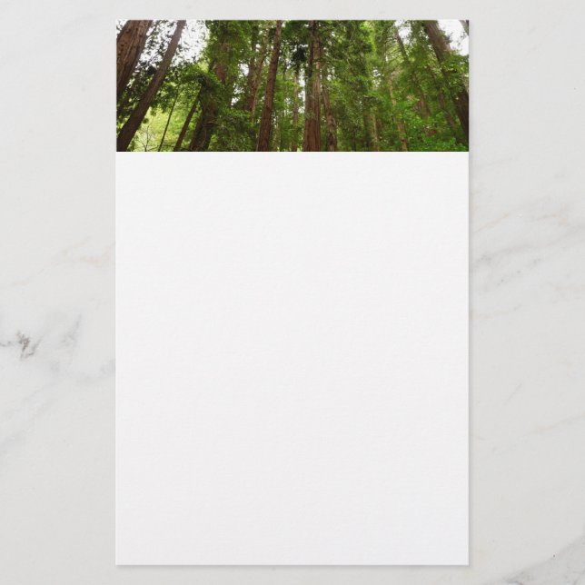 Bis zu Redwoods I im Muir Woods National Monument Briefpapier (Vorderseite)