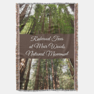 Bis zu Redwoods I im Muir Woods National Monument Decke