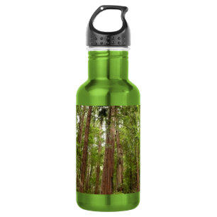 Bis zu Redwoods I im Muir Woods National Monument Edelstahlflasche