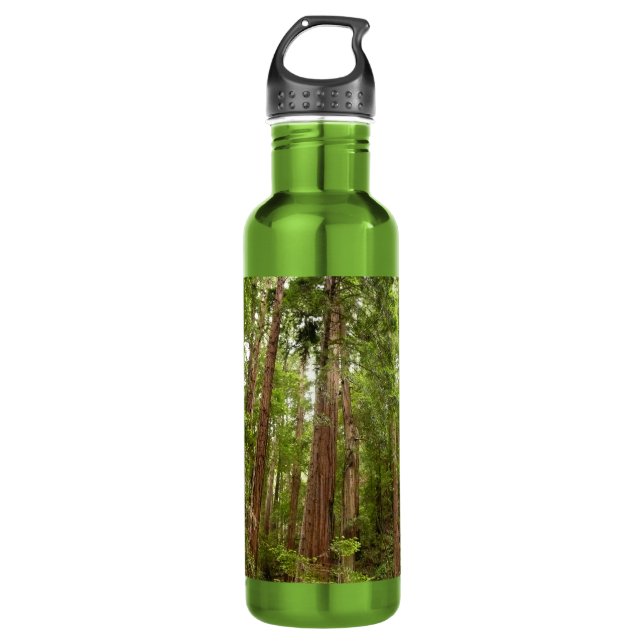 Bis zu Redwoods I im Muir Woods National Monument Edelstahlflasche (Vorderseite)