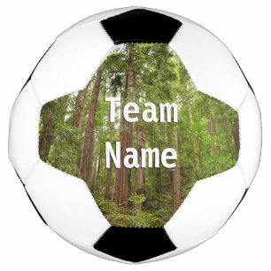 Bis zu Redwoods I im Muir Woods National Monument Fußball