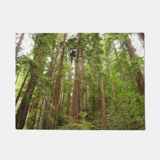 Bis zu Redwoods I im Muir Woods National Monument Fußmatte (Vorderseite)