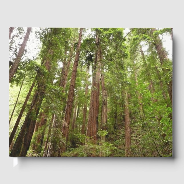 Bis zu Redwoods I im Muir Woods National Monument Gästebuch (Vorderseite)
