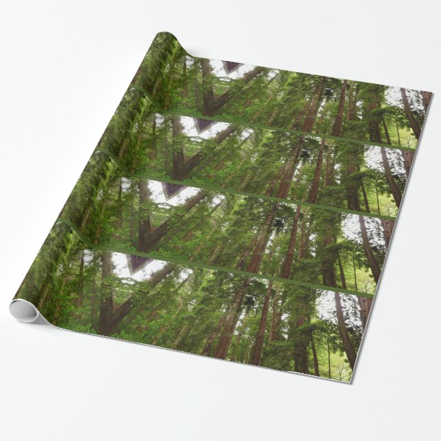 Bis zu Redwoods I im Muir Woods National Monument Geschenkpapier (Ungerollt)