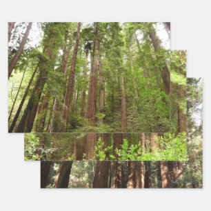 Bis zu Redwoods I im Muir Woods National Monument Geschenkpapier Set