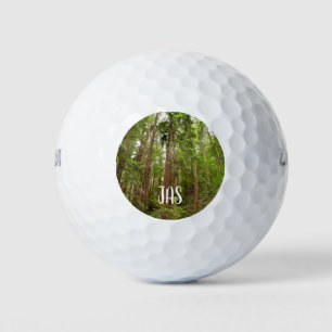 Bis zu Redwoods I im Muir Woods National Monument Golfball