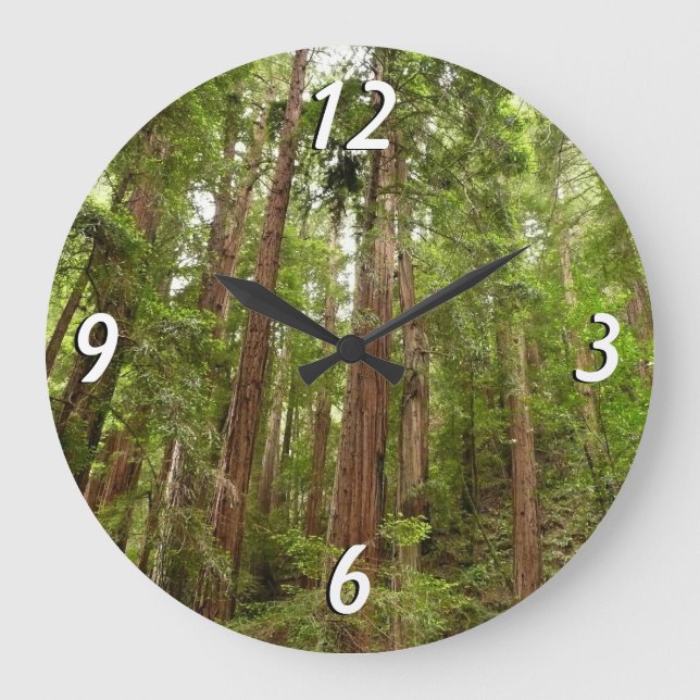 Bis zu Redwoods I im Muir Woods National Monument Große Wanduhr (Vorderseite)