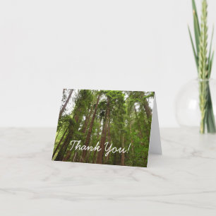 Bis zu Redwoods I im Muir Woods National Monument Karte
