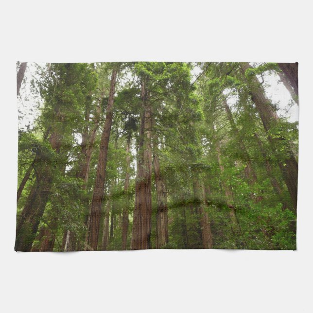 Bis zu Redwoods I im Muir Woods National Monument Küchentuch (Horizontal)