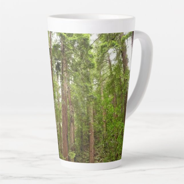 Bis zu Redwoods I im Muir Woods National Monument Milchtasse (Rechte Ecke)