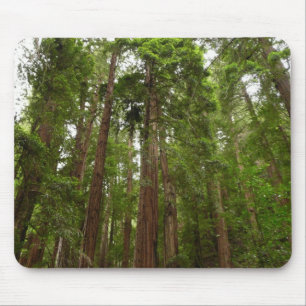 Bis zu Redwoods I im Muir Woods National Monument Mousepad