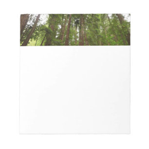 Bis zu Redwoods I im Muir Woods National Monument Notizblock