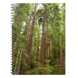 Bis zu Redwoods I im Muir Woods National Monument Notizblock