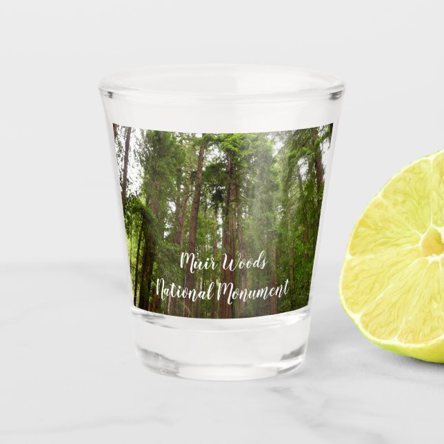 Bis zu Redwoods I im Muir Woods National Monument Schnapsglas (Vorderseite)