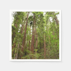 Bis zu Redwoods I im Muir Woods National Monument Serviette