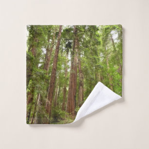 Bis zu Redwoods I im Muir Woods National Monument Waschlappen