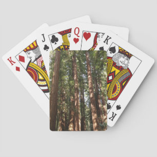 Bis zu Redwoods II Spielkarten