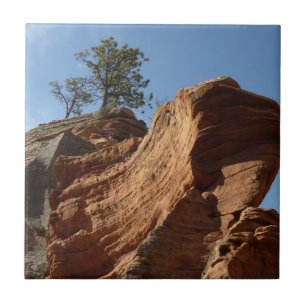 Bis zum Angels Landing im Zion National Park Fliese