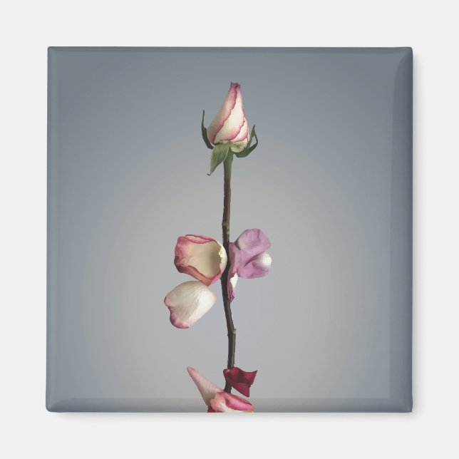 Bis zum letzten Blatt... Magnet (Vorne)