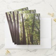 Bis zum Redwoods am Morgen