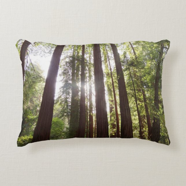 Bis zum Redwoods am Morgen Dekokissen (Vorderseite)