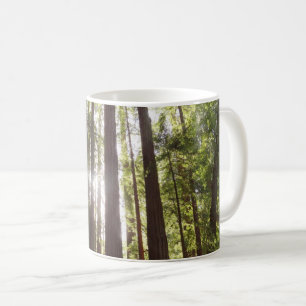 Bis zum Redwoods am Morgen Kaffeetasse