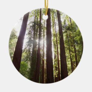 Bis zum Redwoods am Morgen Keramik Ornament